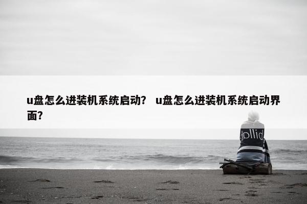 u盘怎么进装机系统启动? u盘怎么进装机系统启动界面?