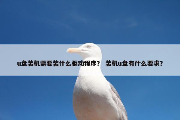 u盘装机需要装什么驱动程序? 装机u盘有什么要求? u盘装机需要装什么驱动程序? 装机u盘有什么要求?