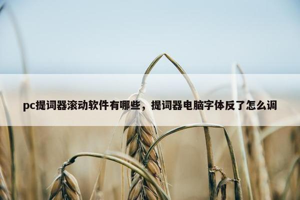 pc提词器滚动软件有哪些，提词器电脑字体反了怎么调
