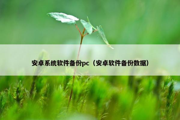安卓系统软件备份pc(安卓软件备份数据)