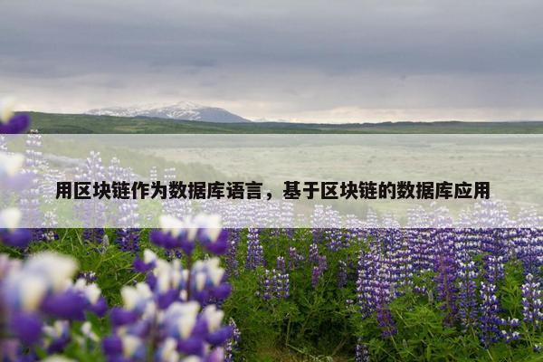 用区块链作为数据库语言,基于区块链的数据库应用