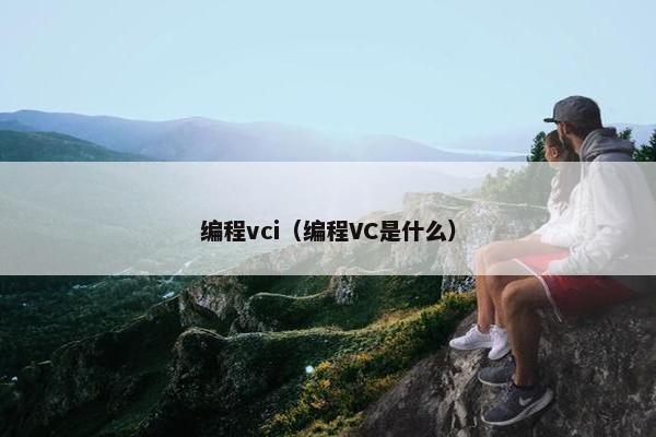 编程vci(编程VC是什么)