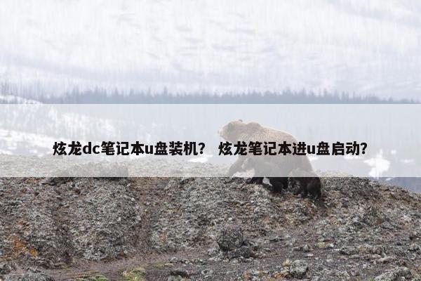 炫龙dc笔记本u盘装机? 炫龙笔记本进u盘启动?