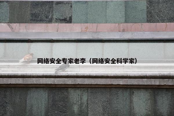 网络安全专家老李(网络安全科学家)