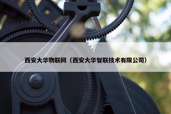 西安大华物联网（西安大华智联技术有限公司）