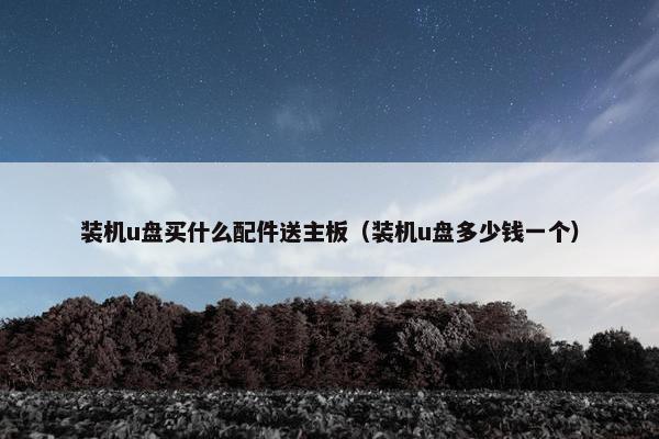 装机u盘买什么配件送主板(装机u盘多少钱一个)