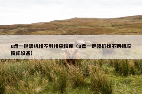 u盘一键装机找不到相应镜像（u盘一键装机找不到相应镜像设备）