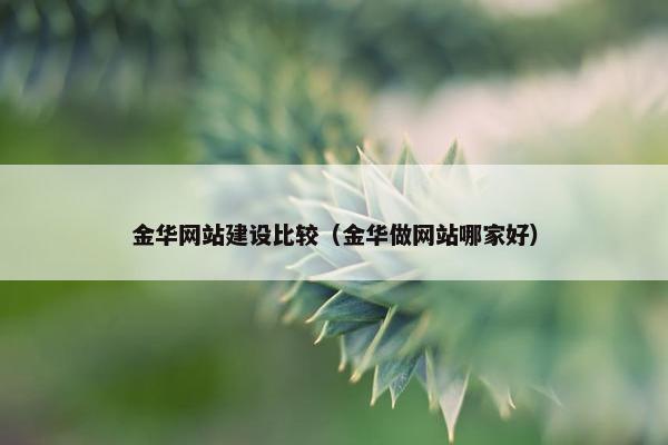 金华网站建设比较（金华做网站哪家好）