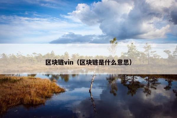 区块链vin（区块链是什么意思）