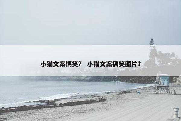 小猫文案搞笑？ 小猫文案搞笑图片？