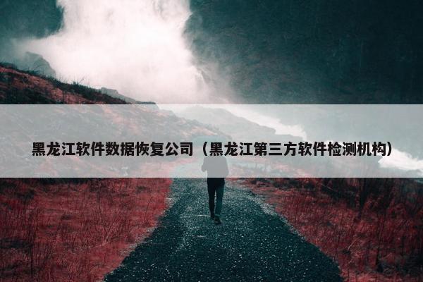 黑龙江软件数据恢复公司（黑龙江第三方软件检测机构）