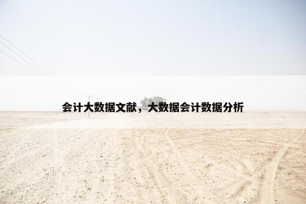 会计大数据文献，大数据会计数据分析