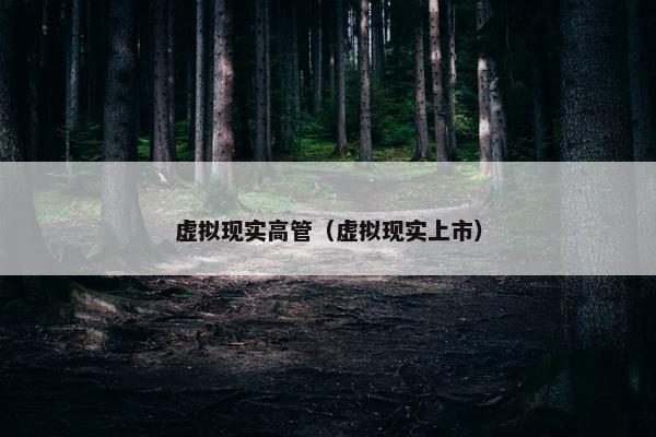 虚拟现实高管（虚拟现实上市）