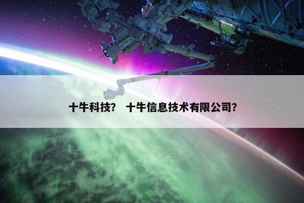十牛科技？ 十牛信息技术有限公司？