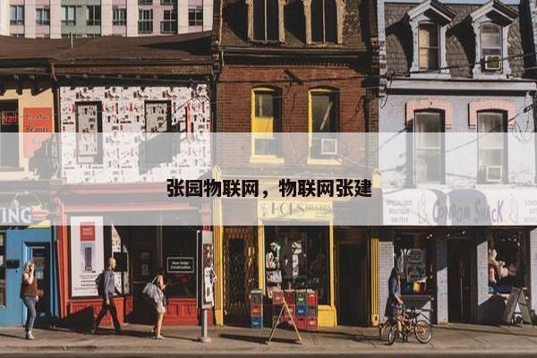 张园物联网,物联网张建