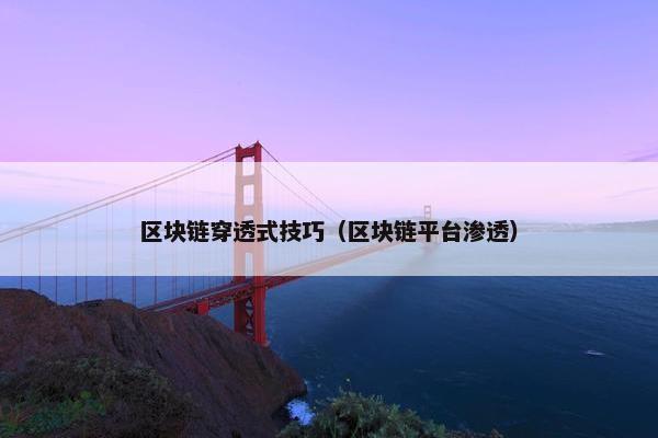 区块链穿透式技巧（区块链平台渗透）