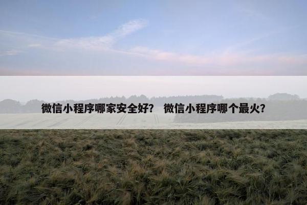 微信小程序哪家安全好？ 微信小程序哪个最火？