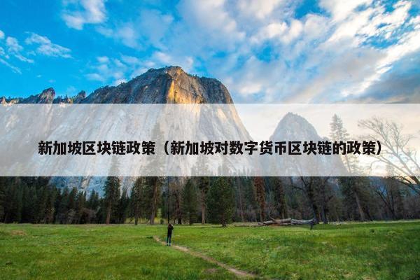 新加坡区块链政策（新加坡对数字货币区块链的政策）