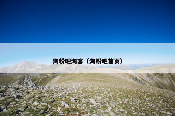 淘粉吧淘客(淘粉吧首页)