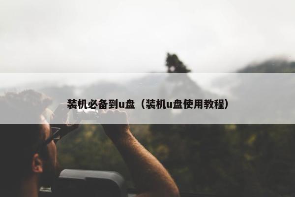 装机必备到u盘(装机u盘使用教程) 装机必备到u盘(装机u盘使用教程)