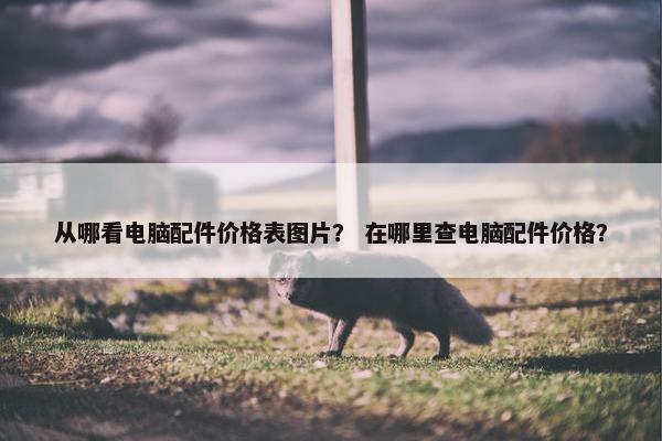 从哪看电脑配件价格表图片？ 在哪里查电脑配件价格？