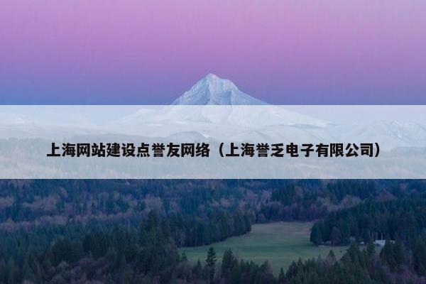 上海网站建设点誉友网络(上海誉乏电子有限公司)