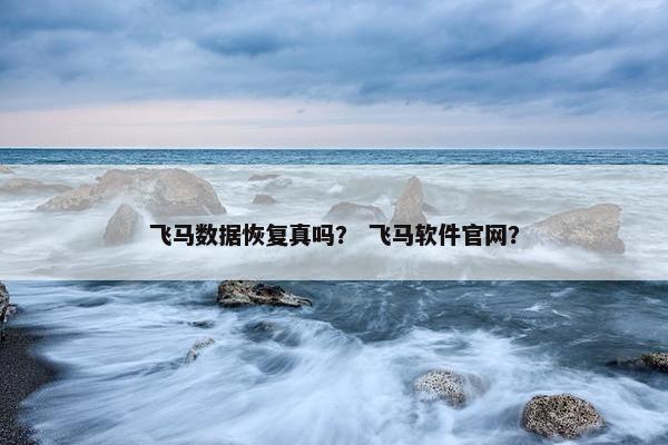 飞马数据恢复真吗? 飞马软件官网? 飞马数据恢复真吗? 飞马软件官网?