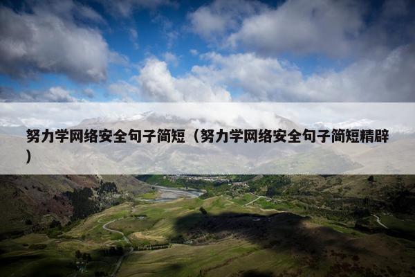 努力学网络安全句子简短(努力学网络安全句子简短精辟)