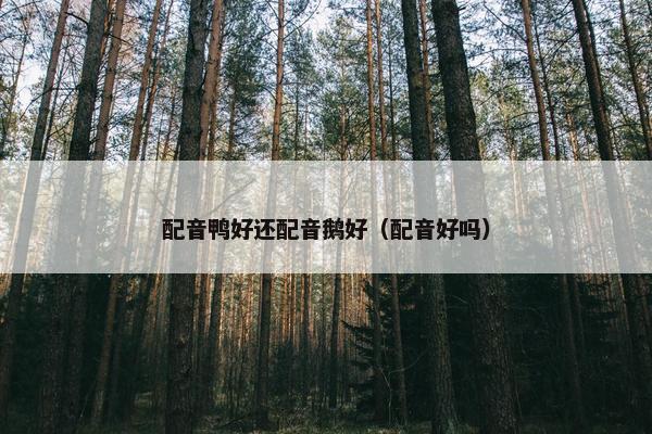 配音鸭好还配音鹅好(配音好吗)