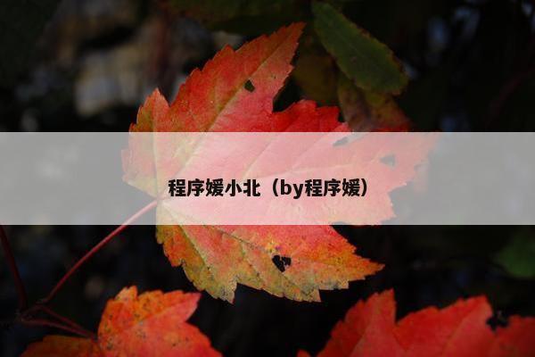 程序媛小北(by程序媛) 程序媛小北(by程序媛)