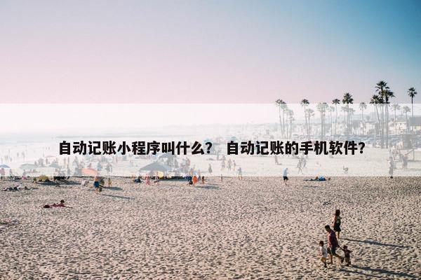 自动记账小程序叫什么？ 自动记账的手机软件？