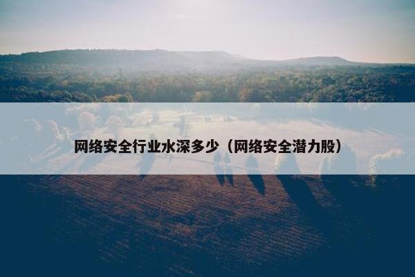 网络安全行业水深多少（网络安全潜力股）
