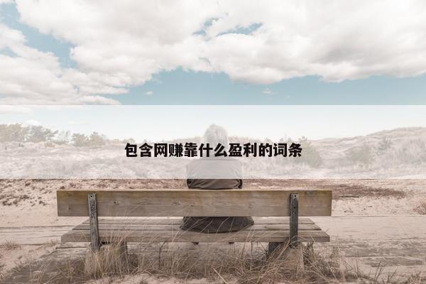 包含网赚靠什么盈利的词条