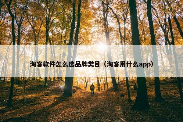 淘客软件怎么选品牌类目（淘客用什么app）