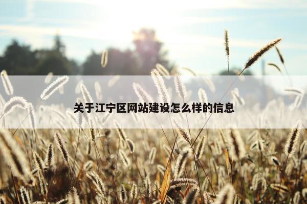 关于江宁区网站建设怎么样的信息