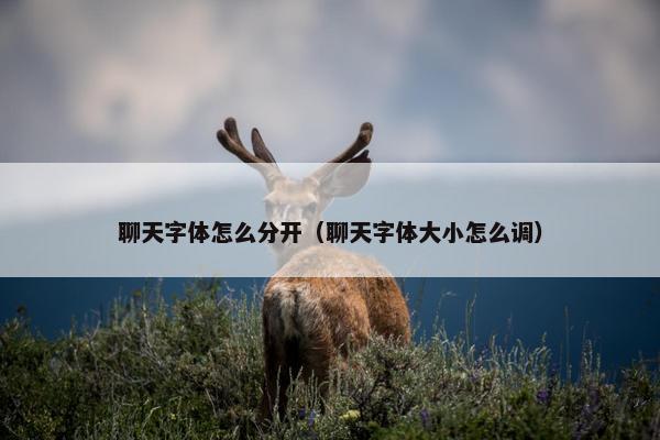 聊天字体怎么分开（聊天字体大小怎么调）