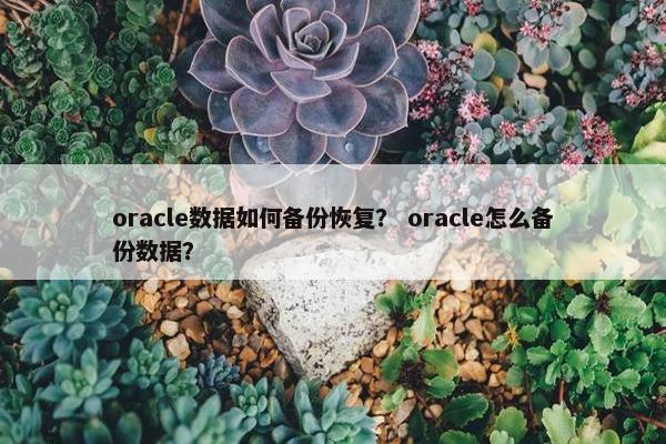 oracle数据如何备份恢复？ oracle怎么备份数据？