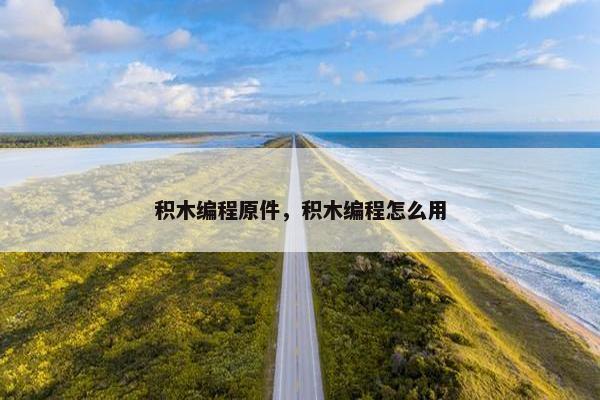 积木编程原件,积木编程怎么用