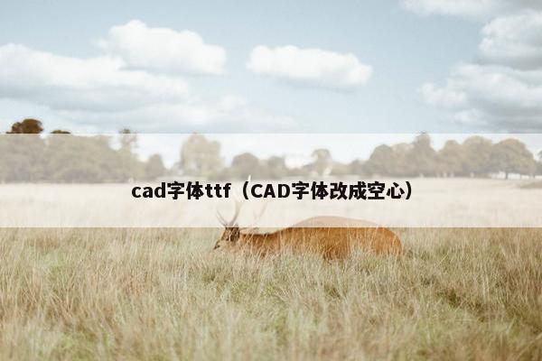 cad字体ttf(CAD字体改成空心)