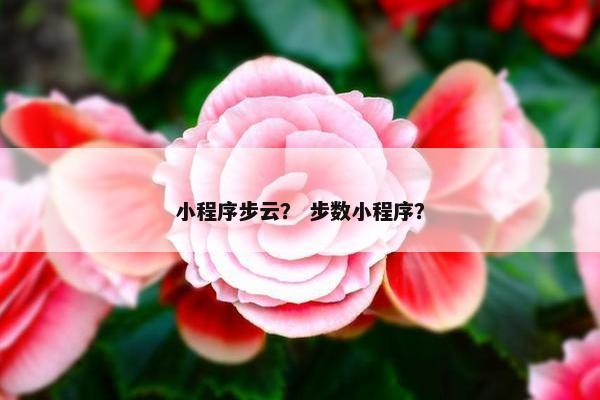 小程序步云? 步数小程序? 小程序步云? 步数小程序?
