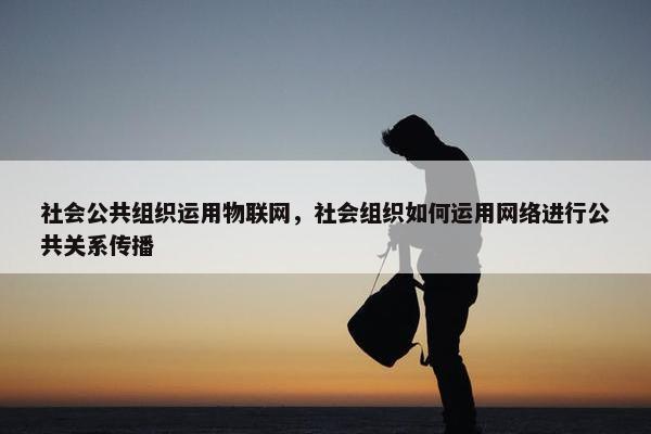 社会公共组织运用物联网，社会组织如何运用网络进行公共关系传播