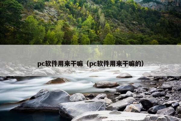 pc软件用来干嘛（pc软件用来干嘛的）