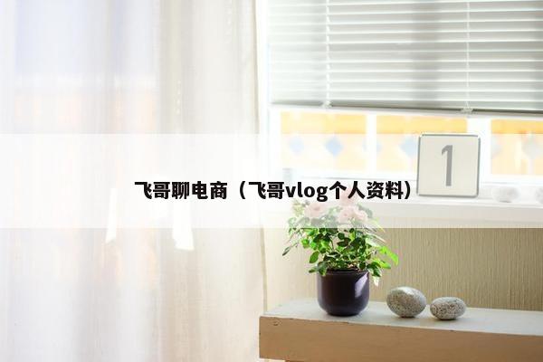 飞哥聊电商(飞哥vlog个人资料)