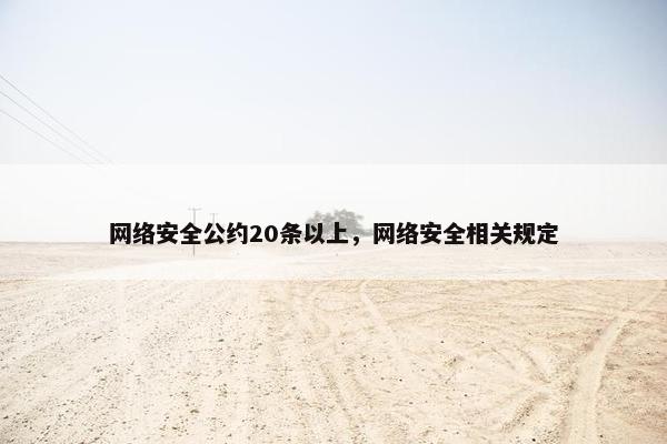 网络安全公约20条以上，网络安全相关规定