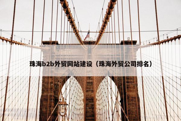 珠海b2b外贸网站建设（珠海外贸公司排名）
