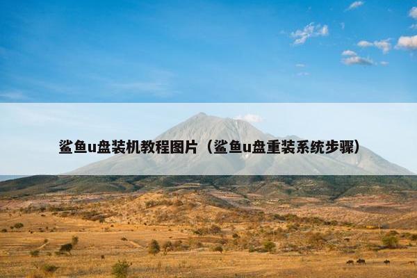 鲨鱼u盘装机教程图片(鲨鱼u盘重装系统步骤) 鲨鱼u盘装机教程图片(鲨鱼u盘重装系统步骤)