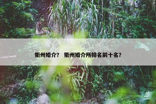 衢州婚介？ 衢州婚介所排名前十名？
