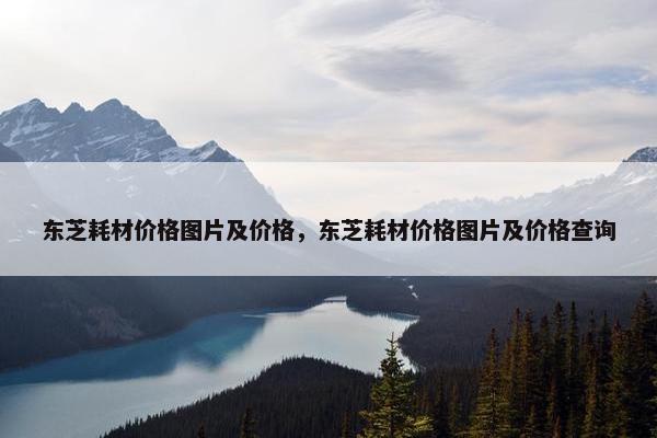 东芝耗材价格图片及价格，东芝耗材价格图片及价格查询