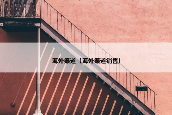 海外渠道(海外渠道销售) 海外渠道(海外渠道销售)
