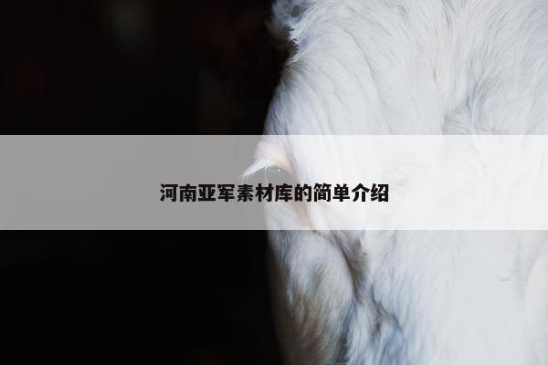 河南亚军素材库的简单介绍